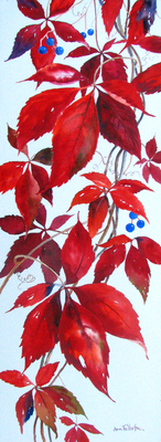 Virginia Creeper