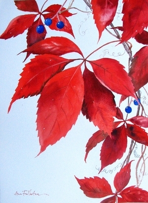 Virginia Creeper and Berries 1