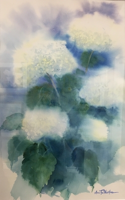 Hydrangeas