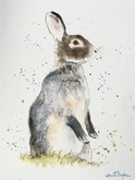 Westland Bunny - SOLD