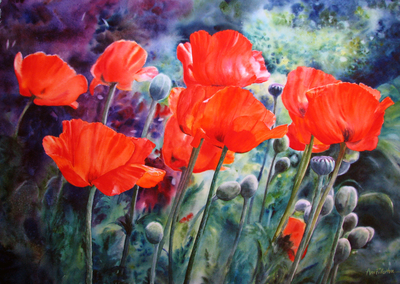 Award Winning Poppies - SOLD