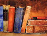 Buggerlug's Bookshelf - SOLD