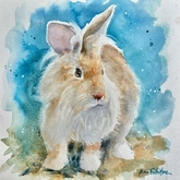 Westland Bunny #2