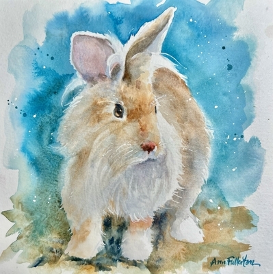 Westland Bunny #2