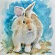 Westland Bunny #2