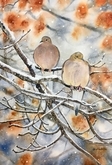 The Mourning Doves