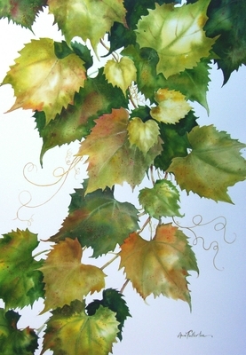 Grapevine - SOLD