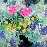 Hanging Basket - SOLD