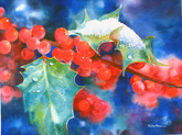 Hollyberries