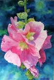 Hollyhock - SOLD