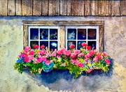 Barn Window