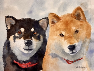 Furry Faces - Shibas