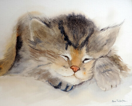 Kitten nap