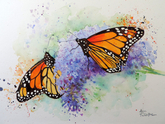 Monarchs - SOLD