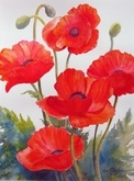 Poppy Dancers