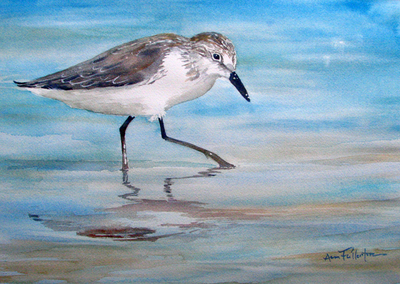 The Sandpiper