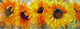 Sunflower Parade - SOLD