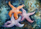 Starfish